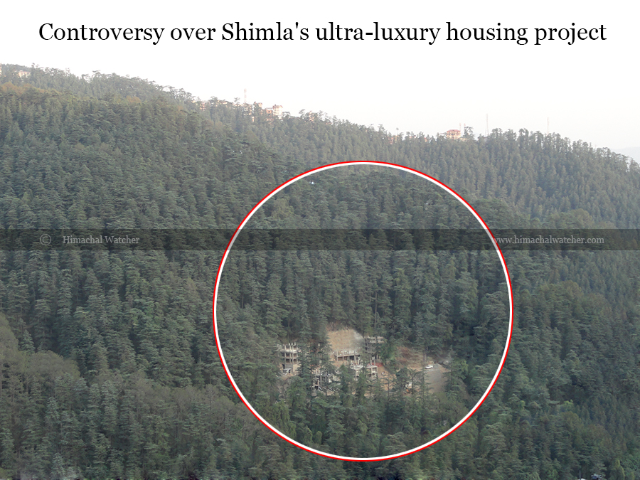 Download this Forest Department And The Shimla Playing Blame Game Dlf Sama picture