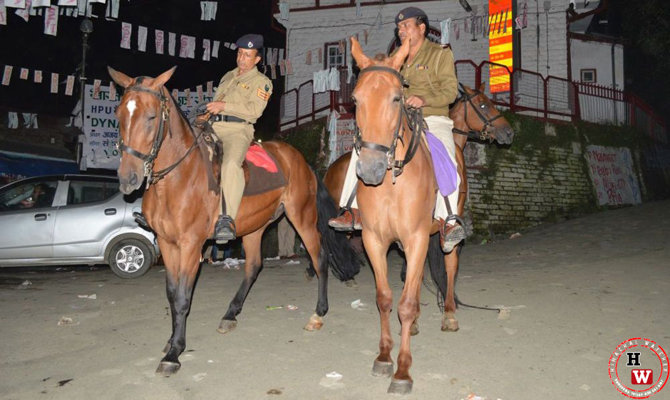 shimla-police-horses
