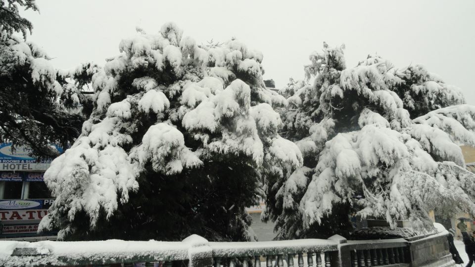 shimla-covered-with-snow