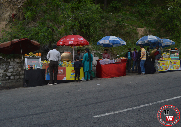 food stalls shimla toursit spots