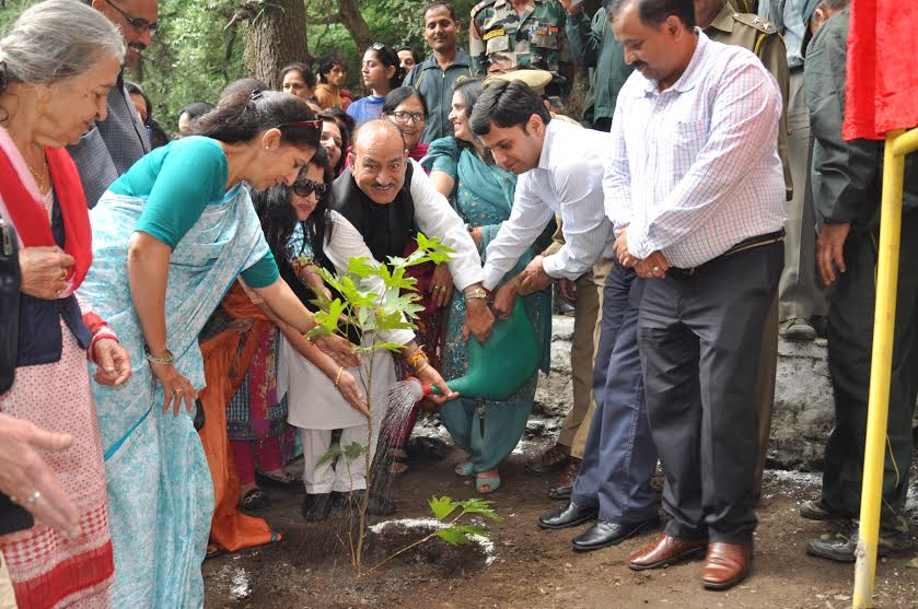 Himachal to plant 45 lakh medicinal plants-Kaul Singh