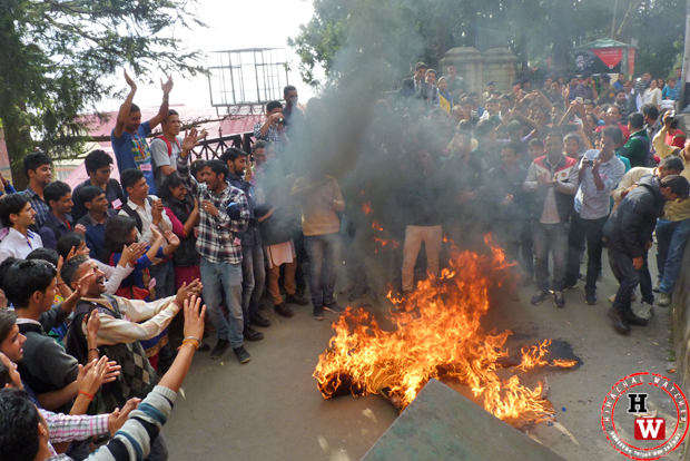 effigy of hpu vc burnt in colleges