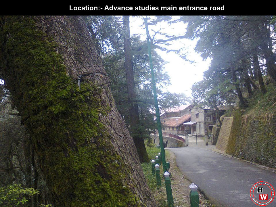 Advance-studies-main-entrance-road