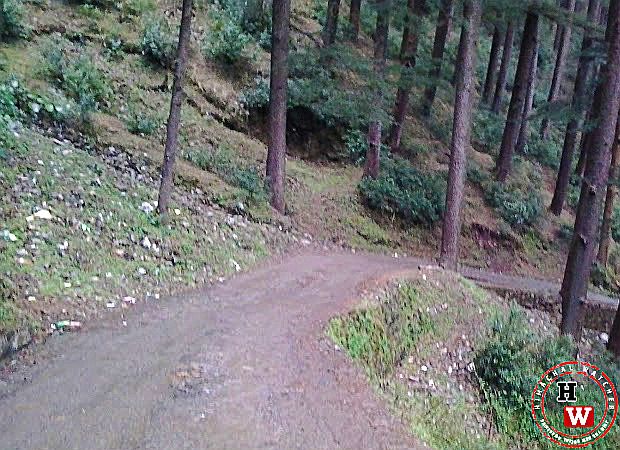 road-from-chhota-shimla-to-flowerdale5