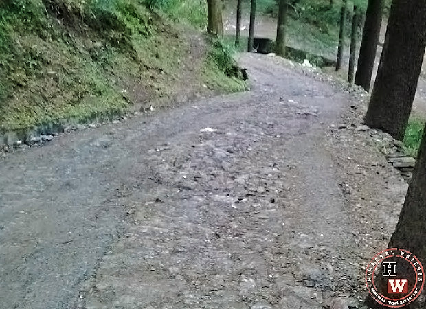 road-from-chhota-shimla-to-flowerdale6