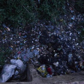 poor-waste-management-shimla