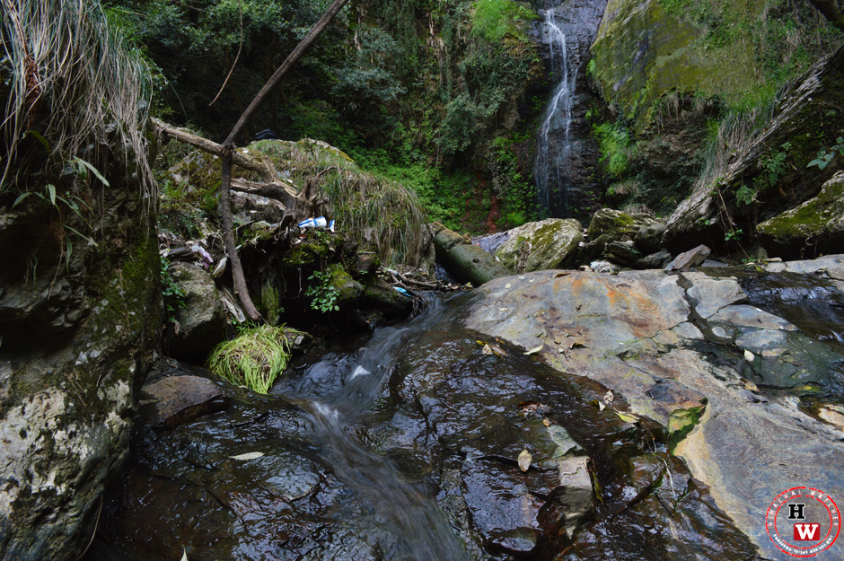the glen forest waterfalls