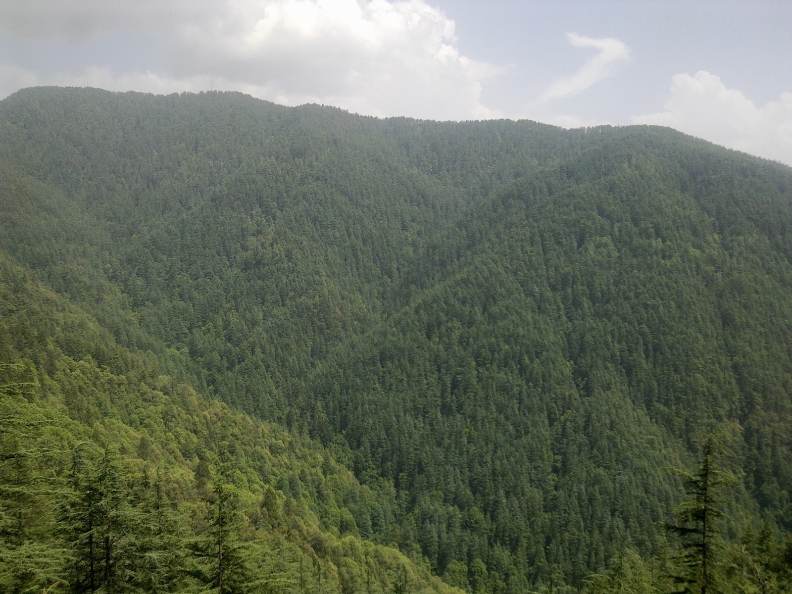 Hasan Valley-Shimla