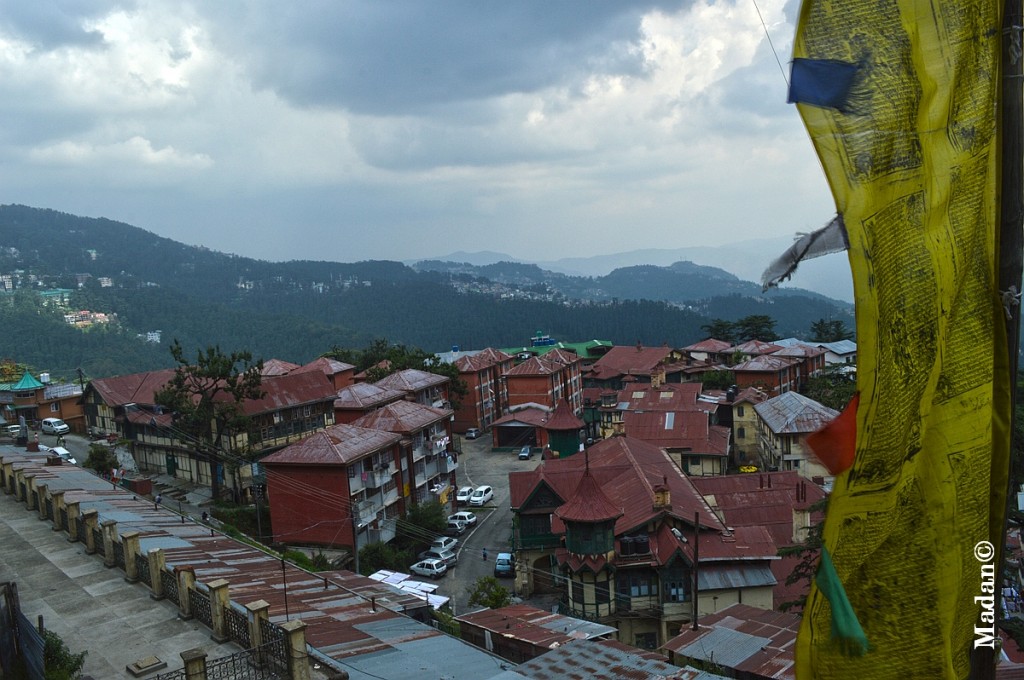 Over Nabha Estate, Shimla Himachal Watcher