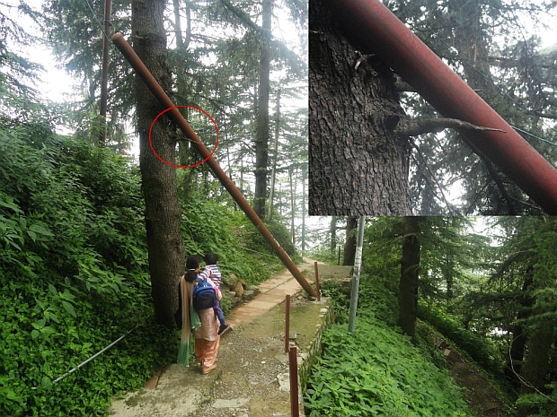 vikasnagar-shimla-hanging-pole