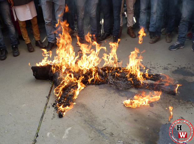 hp colleges burns effigy
