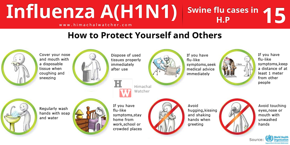 swine flu precautions
