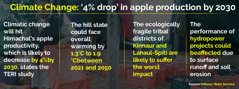 climate-change-Himachal-apple-crop-power-projects-face-threat-Study