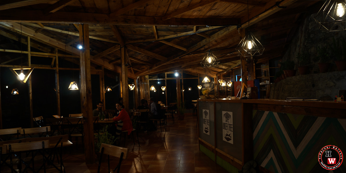 cafe-under-tree-jakhoo-shimla3