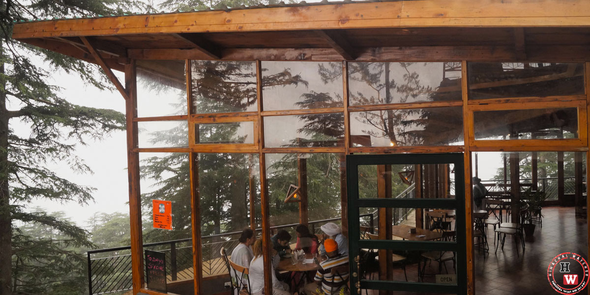 Cafe-Under-Tree-Jakhu-Shimla-17