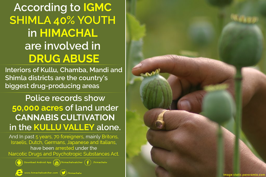 Himachal Youth in Drugs