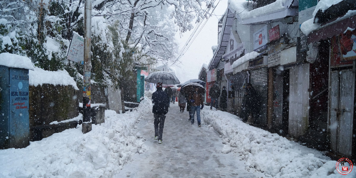 snowfall-lakkar-bazarshimla