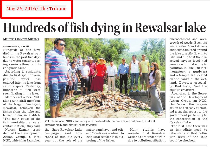 Rewalser fish death