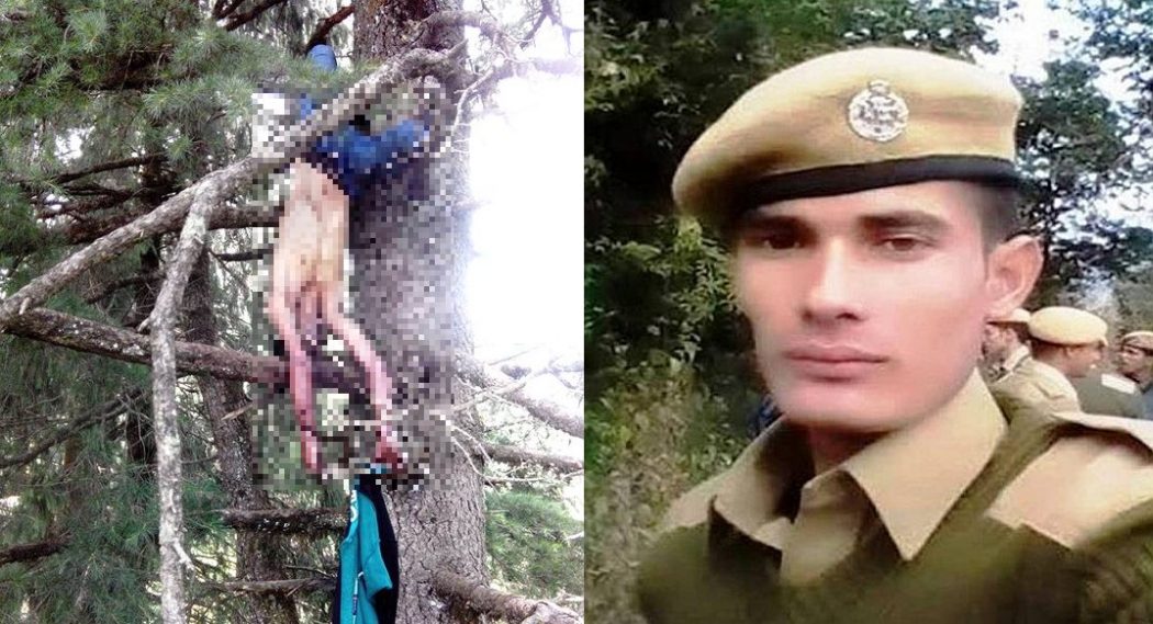 Forest Guard In Himachal Killed And Hanged From Tree Himachal Watcher