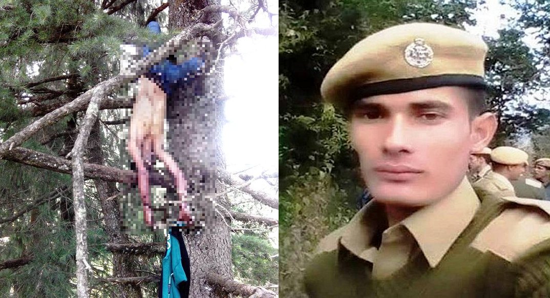 Forest gaurd killed by hp forest mafia