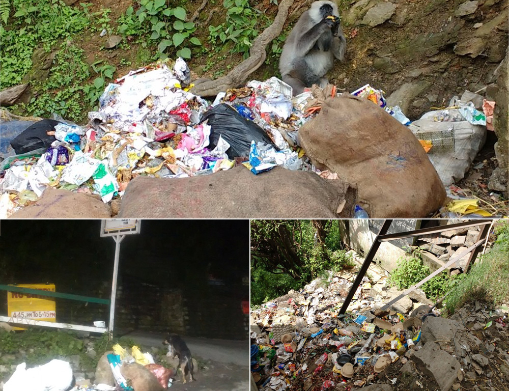 shimla door to door garbage collection