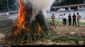 cannabis legalization in himachal Pradesh