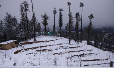 Snowfall in Shimla Feb 2018