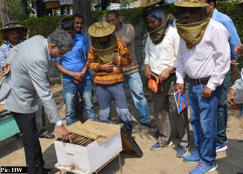 Farmers at the University apiary