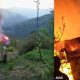 video of fire in rohru shimla