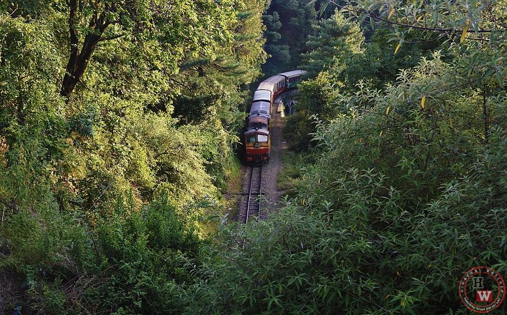 Frequency of trains on kalka-shimla track