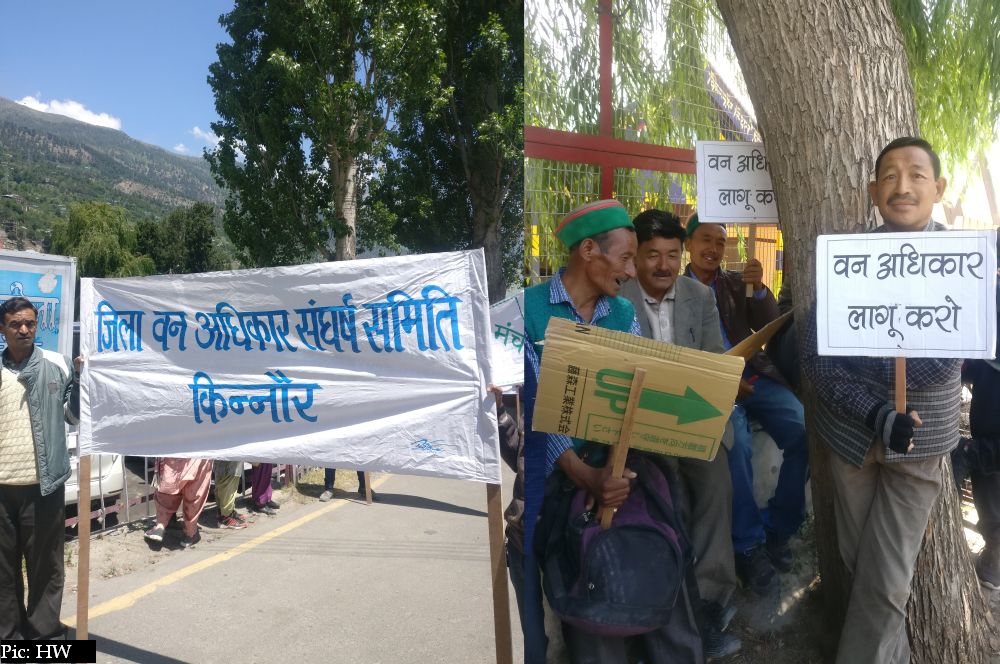 Kinnaur protest against eviction from forest land