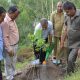 15 lakh sapling planted in Himachal Pradesh on van mahotsav