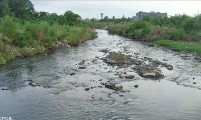stf for ghaggar river pollution