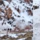 Army jawans killed in avalanche in Kinnaur