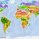 Cost of saving biodiversity on earth