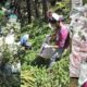Trek A Tribe Cleanliness Driver in Shimla