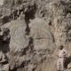 Tree Fossil Found in Shimla's Kharapathar