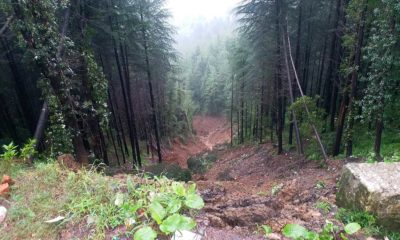 Monsoon in Himachal PRadesh kills 2019