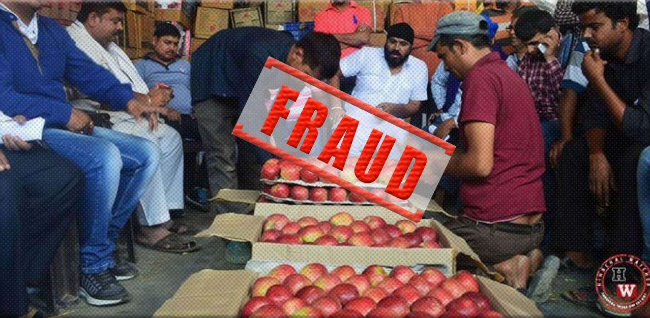 Fraud with Himachal Apple Growers