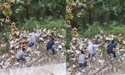 Shimla MC Workers Dumping garbage into forest