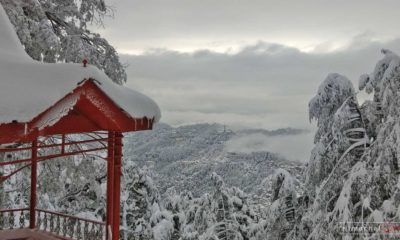 Snow prediction for shimla 2020