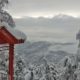Snow prediction for shimla 2020