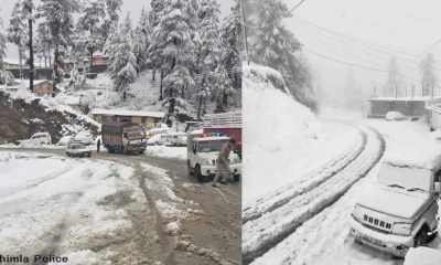 Snowfall-in-Shimla-in-February-2020-m2