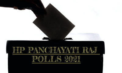 third phase of Panchayat elections in himachal pradesh