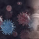 coronavirus variants