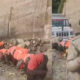 shimla police humiliates labourers