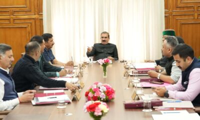 hp cabinet decison march 2025